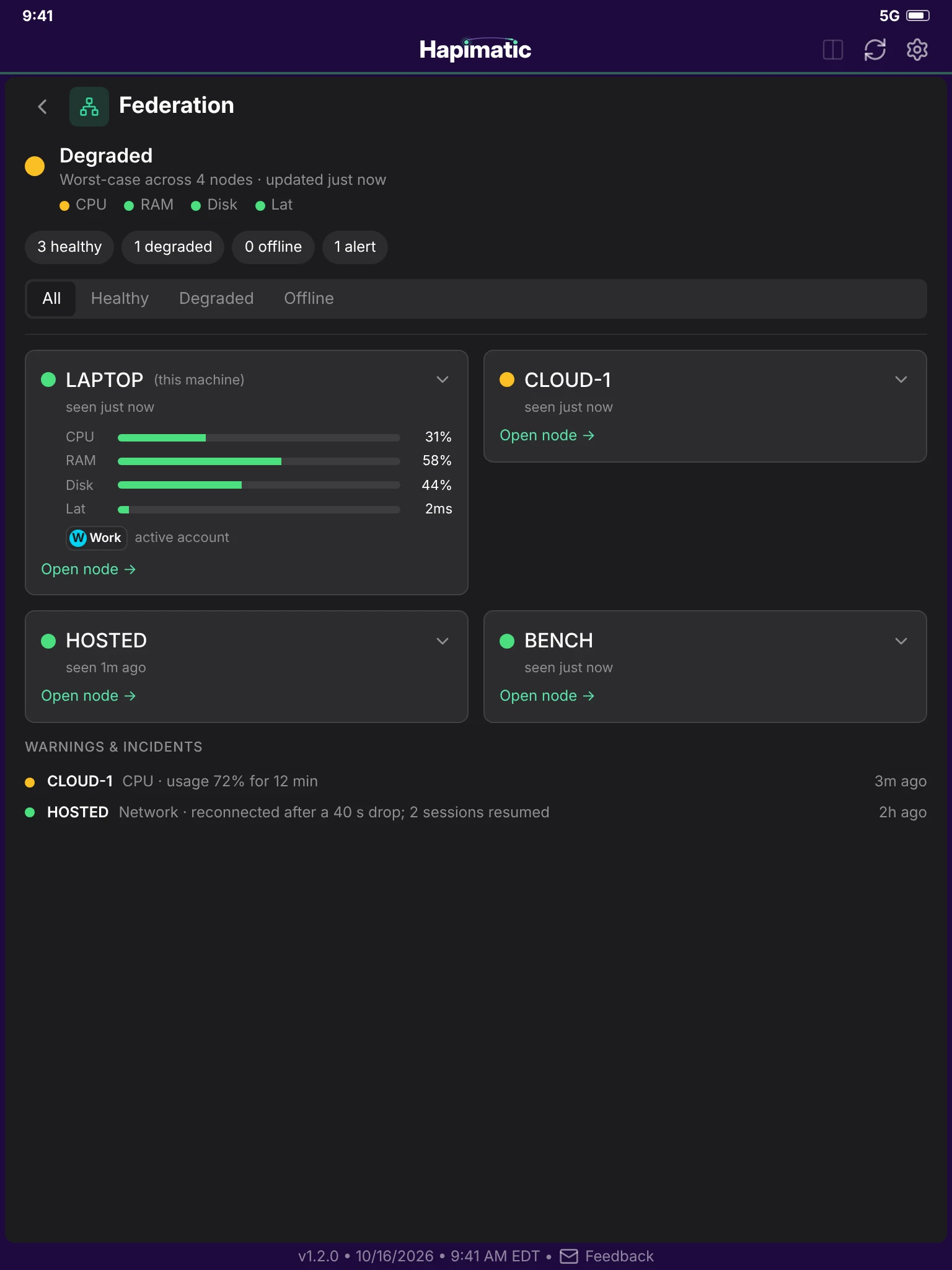 Federation Health: four nodes, their load, and their warnings and incidents.